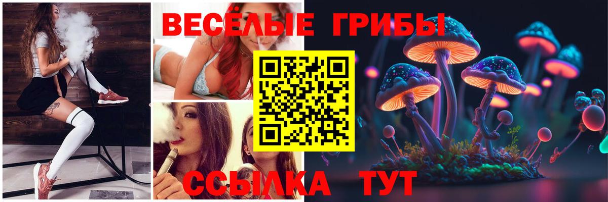 Псилоцибиновые грибы MAGIC MUSHROOMS  Вход с VPN  Коммунар  Псилоцибиновые грибы GOLDEN TEACHER 